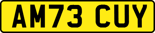 AM73CUY