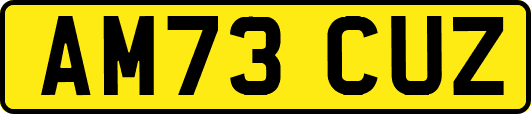 AM73CUZ