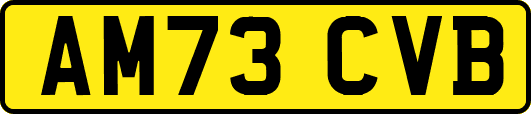 AM73CVB