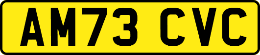 AM73CVC