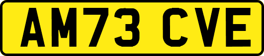 AM73CVE
