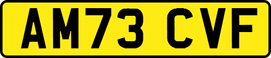 AM73CVF