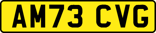 AM73CVG