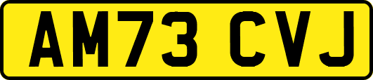 AM73CVJ