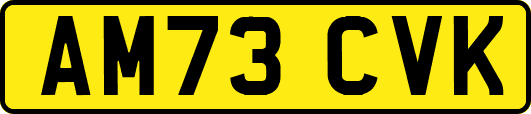AM73CVK