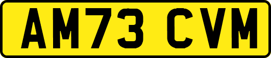AM73CVM