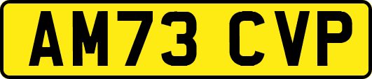 AM73CVP