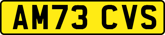 AM73CVS
