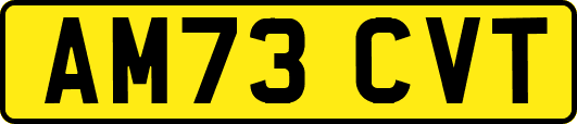 AM73CVT