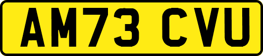 AM73CVU