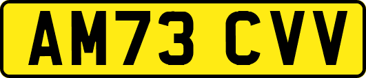 AM73CVV
