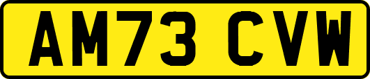 AM73CVW