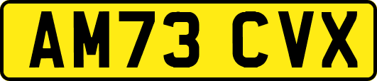 AM73CVX