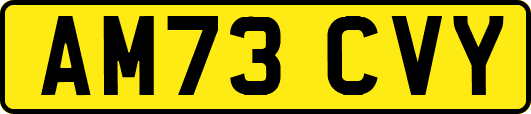 AM73CVY