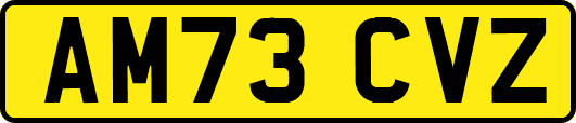 AM73CVZ