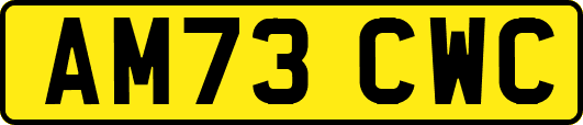 AM73CWC