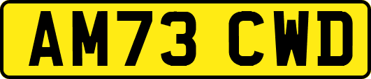 AM73CWD