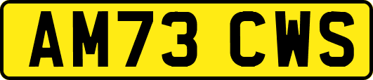 AM73CWS