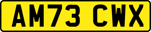 AM73CWX