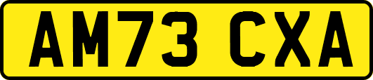 AM73CXA
