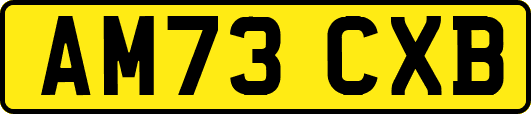 AM73CXB