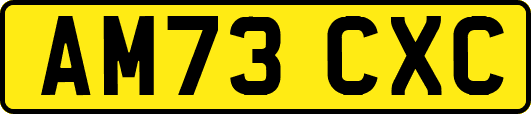 AM73CXC
