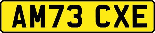 AM73CXE