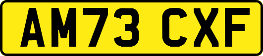 AM73CXF