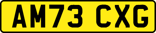AM73CXG