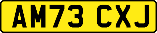 AM73CXJ