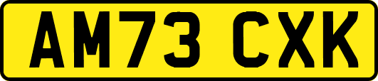 AM73CXK