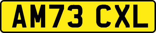 AM73CXL