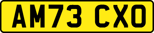 AM73CXO