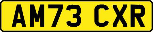 AM73CXR