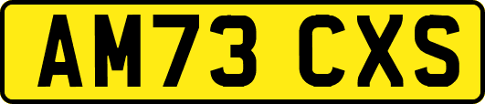 AM73CXS