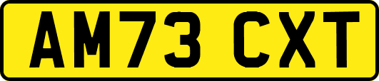 AM73CXT