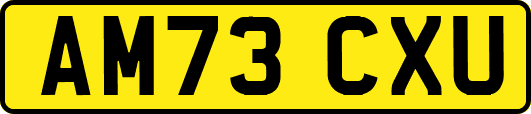 AM73CXU