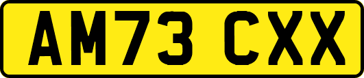 AM73CXX