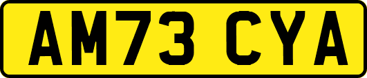 AM73CYA