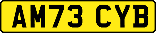 AM73CYB