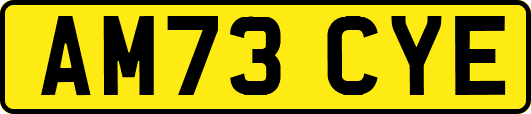 AM73CYE