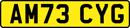 AM73CYG