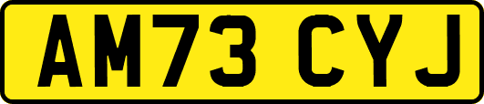 AM73CYJ