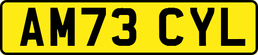 AM73CYL