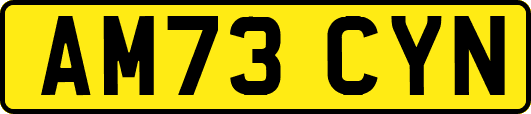 AM73CYN