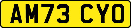 AM73CYO