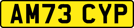 AM73CYP