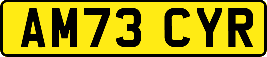 AM73CYR