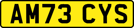 AM73CYS