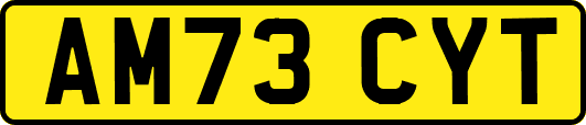 AM73CYT